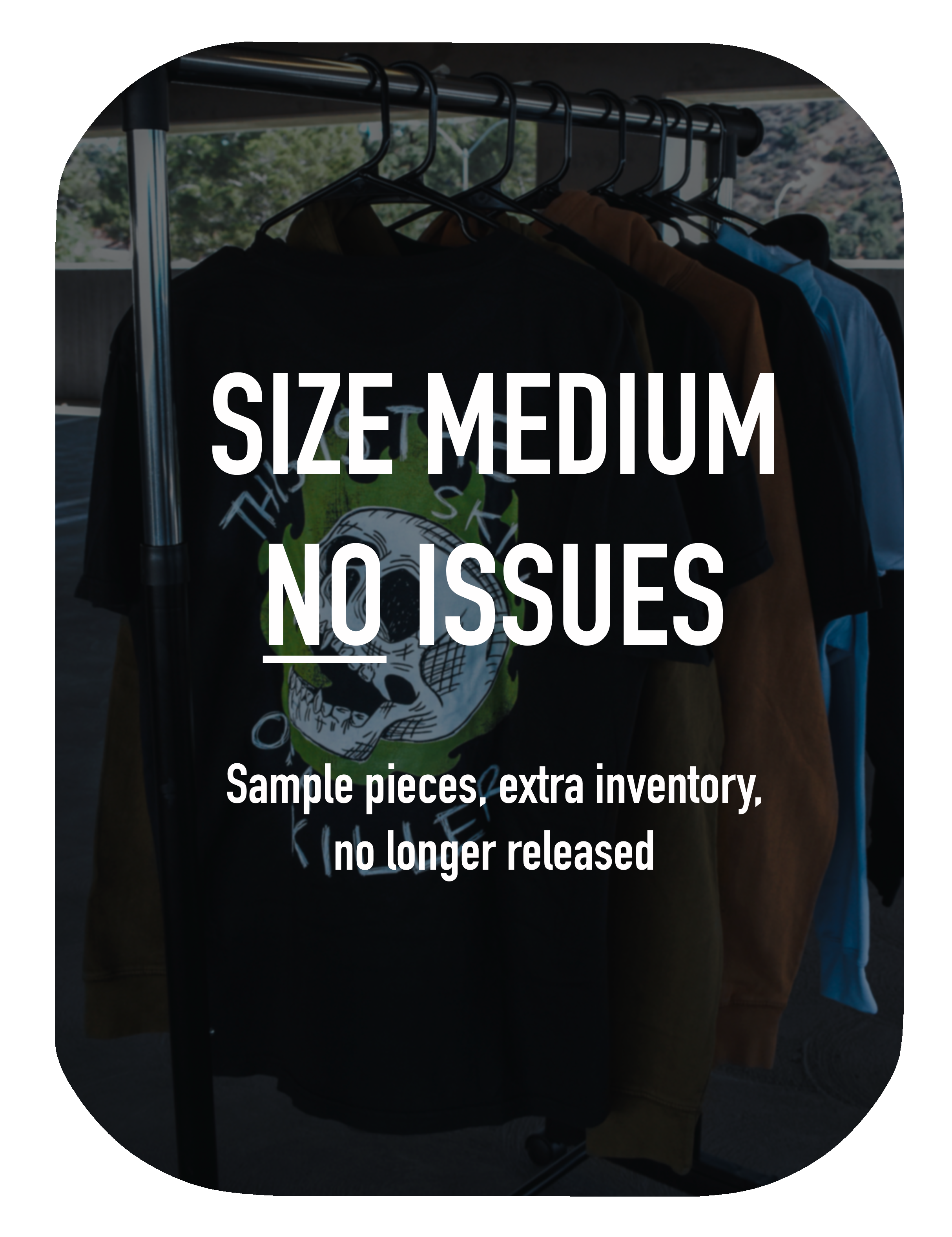 SIZE MEDIUM (no issues)