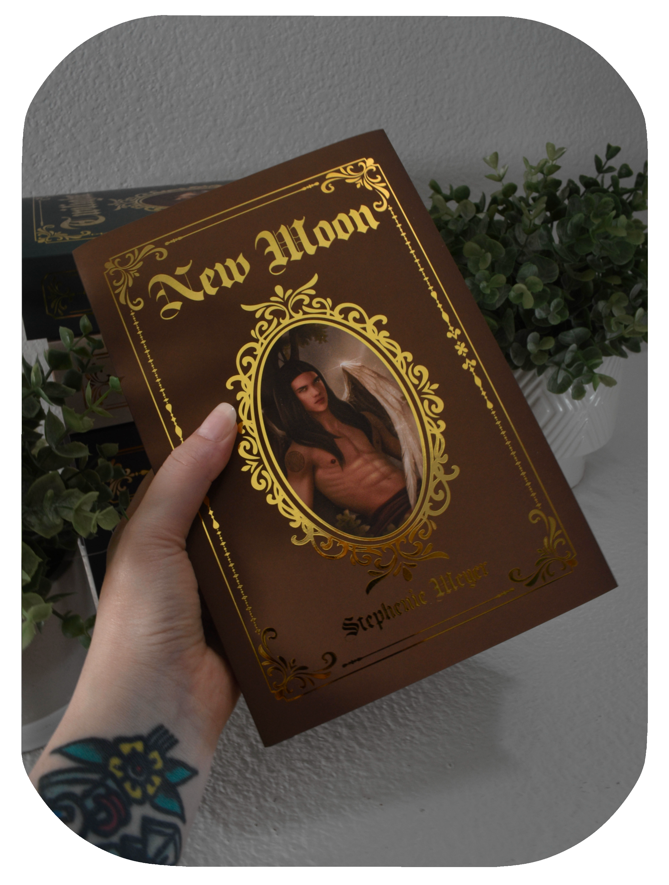 Vampire - Dust Covers